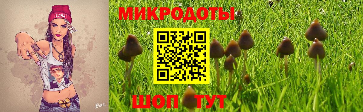 Луховицы  Галлюциногенные грибы Psilocybine cubensis  Галлюциногенные грибы Psilocybine cubensis  Вход с VPN 