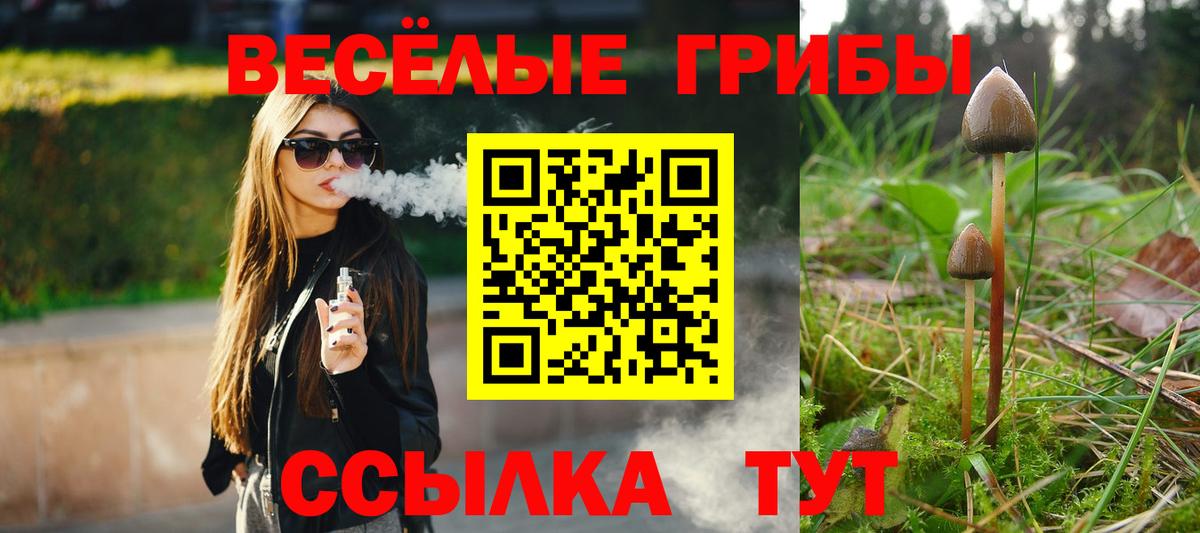 Псилоцибиновые грибы Cubensis Луховицы